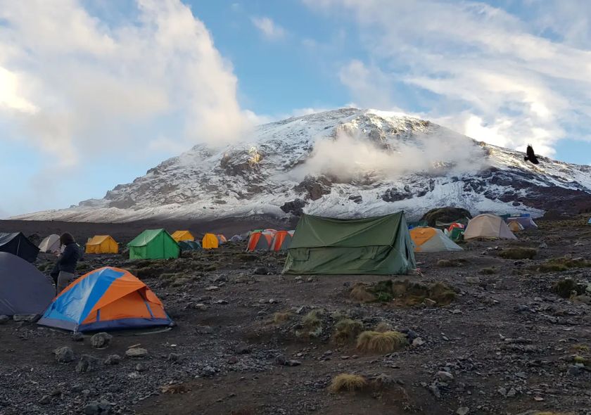 8 Days Lemosho Route